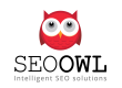 Оптимизация и продвижение сайтов SEO OWL